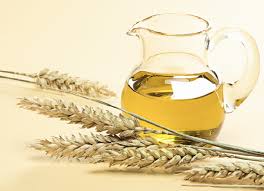 WHEAT GERM OIL - Carrier & Vegetable Oil